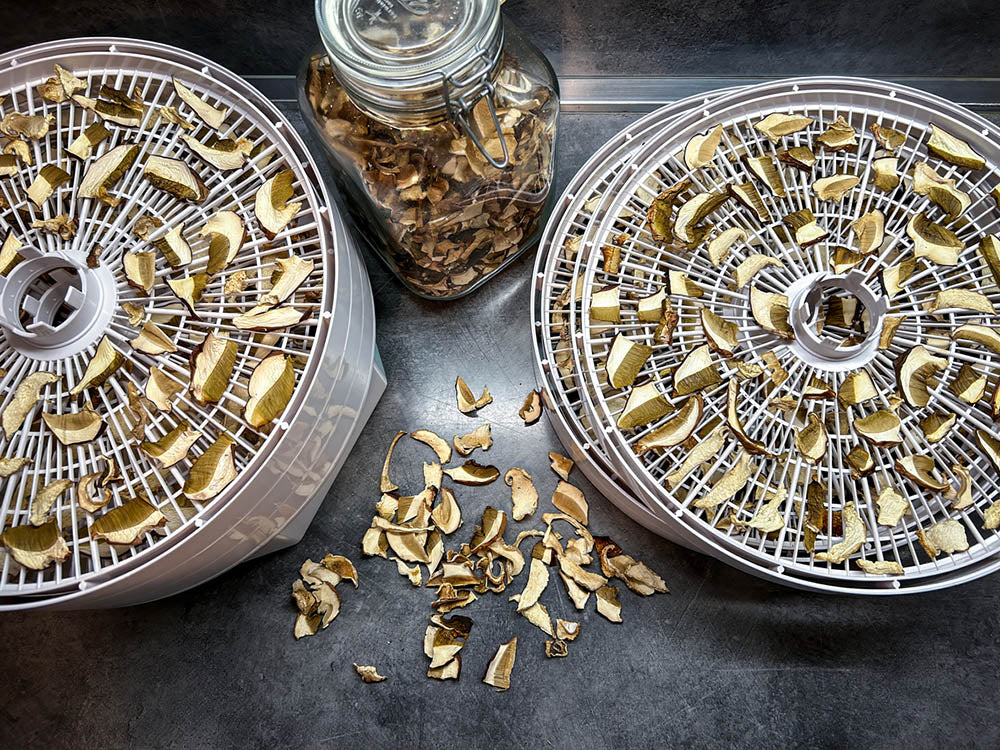 Can I Dehydrate Mushrooms in a Food Dehydrator? Expert Tips!