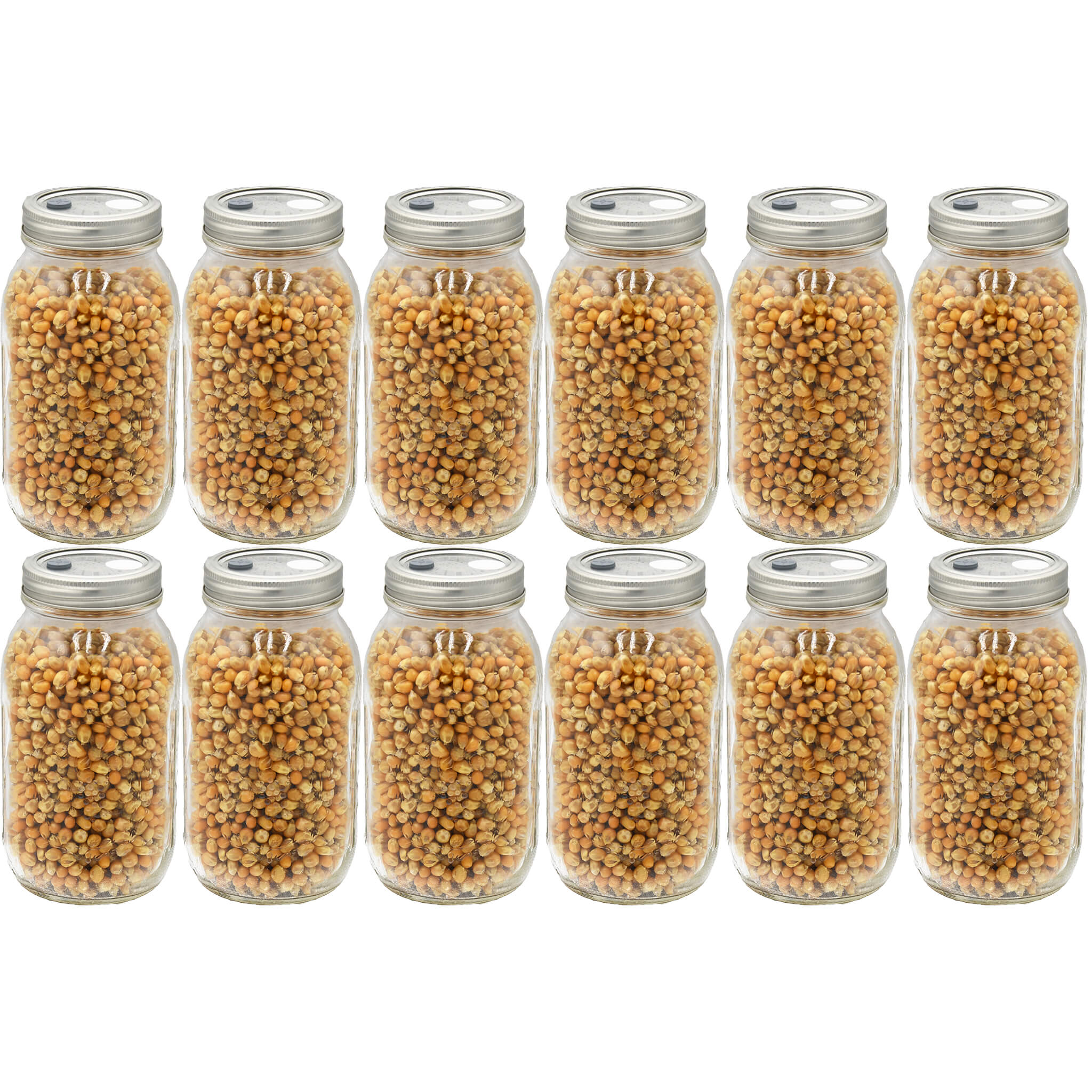Twelve quart-sized jars filled with fully hydrated and sterilized popcorn grains, arranged in a grid. The jars feature self-healing injection ports on the lids, making them ideal for easy inoculation and efficient mushroom cultivation.