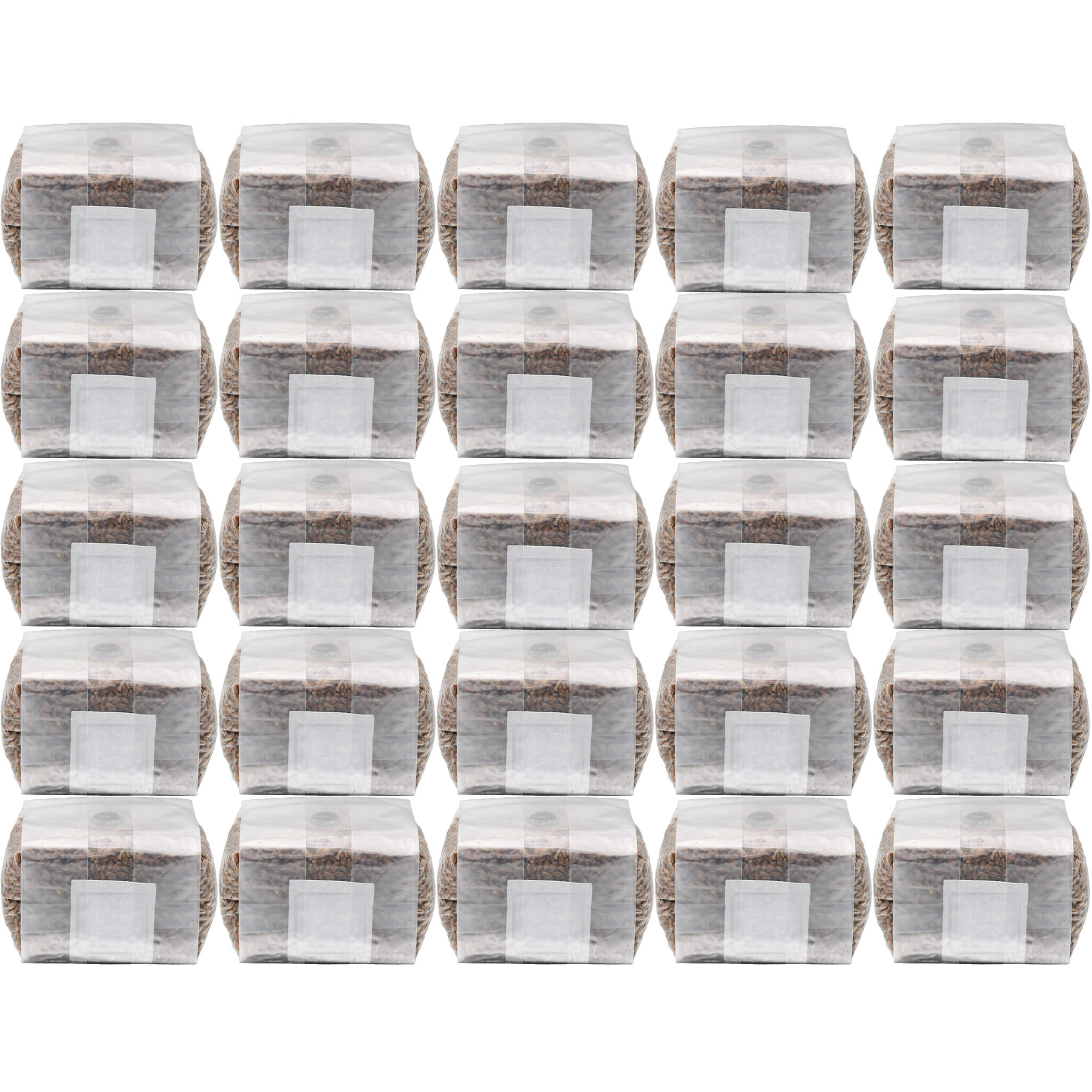 Twenty-five sealed mushroom grow bags, each filled with one pound of fully hydrated and sterilized rye berries. The bags are neatly arranged in a grid, wrapped in clear plastic with visible filter patches, perfect for large-scale mushroom cultivation.