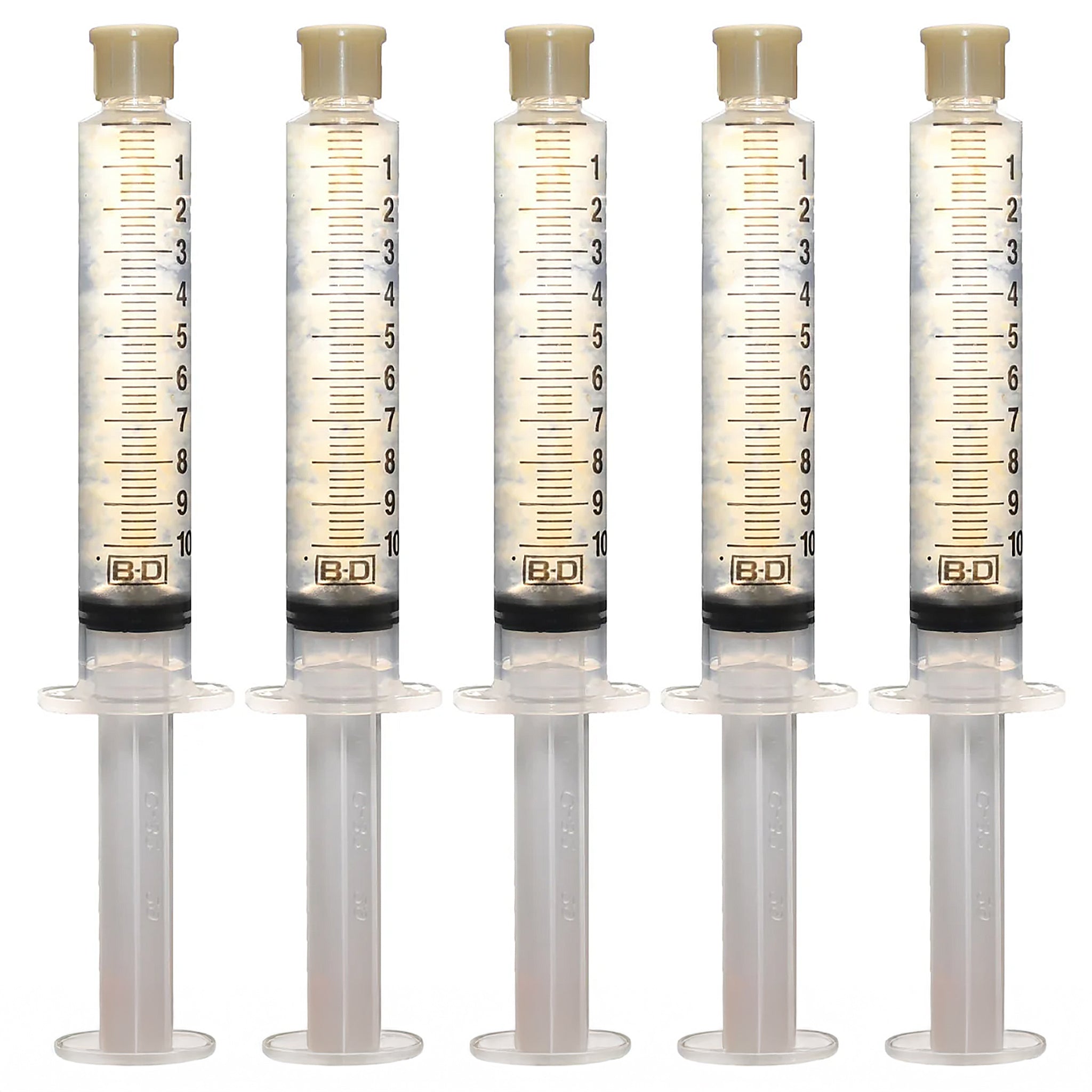 Gourmet Mushroom Cultures 5 Pack