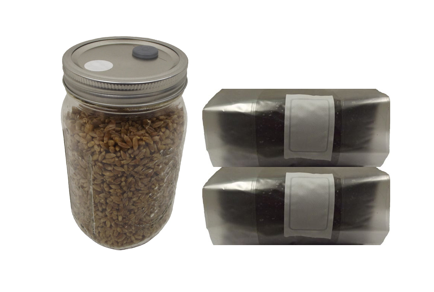 mushroom substrate grow kit