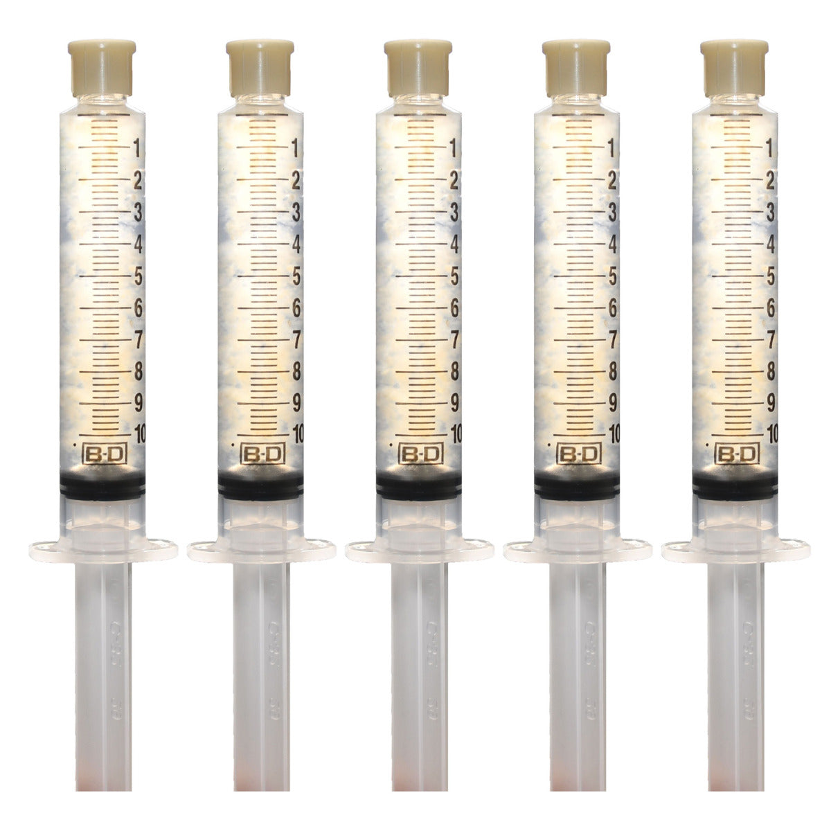 Oyster Mushroom Cultures 5 Pack