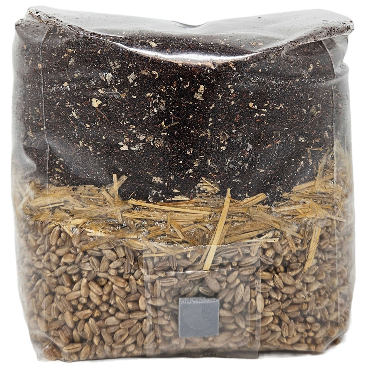 All-in-One Mushroom Grow Bag on white background