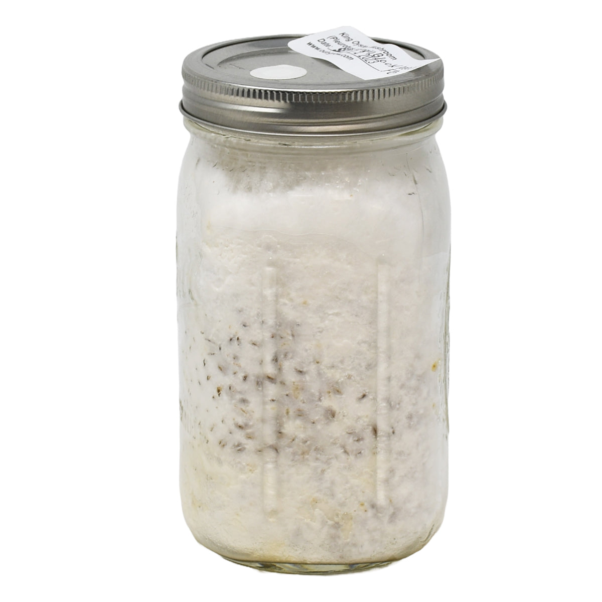 Black Pearl King Oyster Mushroom Spawn in a 1 quart jar