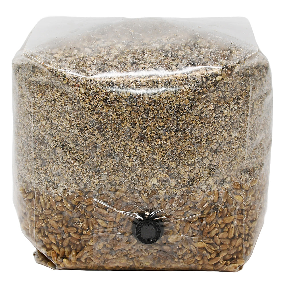 Brown Rice Flour Based All in One Mushroom Grow Bag