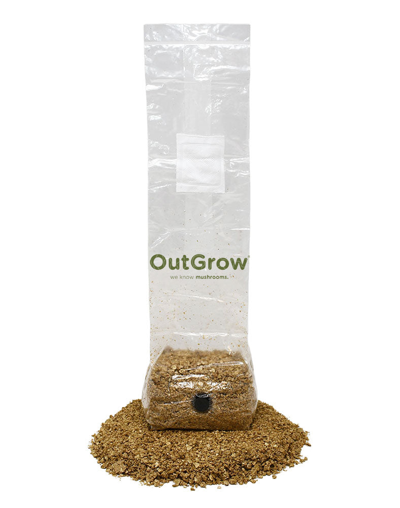 Brown Rice Flour (BRF) Mushroom Substrate Bags - 8 oz Hydrated & Sterilized