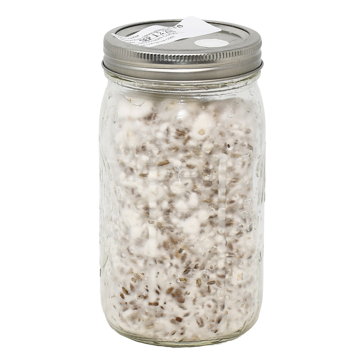 Gold Oyster Mushroom Spawn - (1qt.)