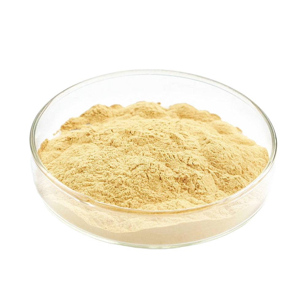 Light Malt Extract Powder