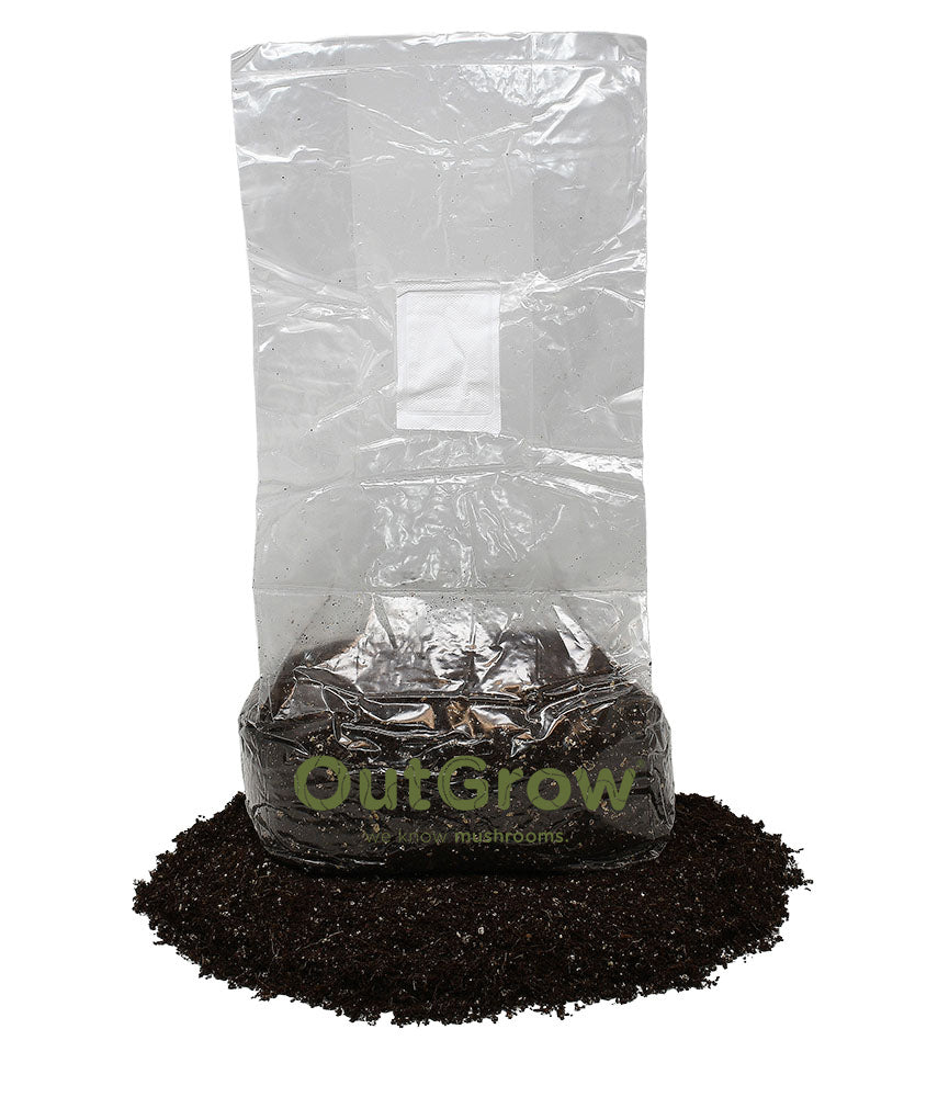 5lb Manure-Based Mushroom Substrate Bag on Substrate Pile