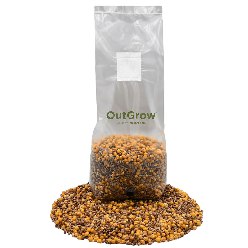 mega mix sterilized grain bag mushroom substrate