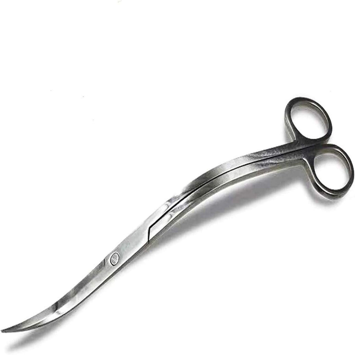 mushroom harvesting scissors