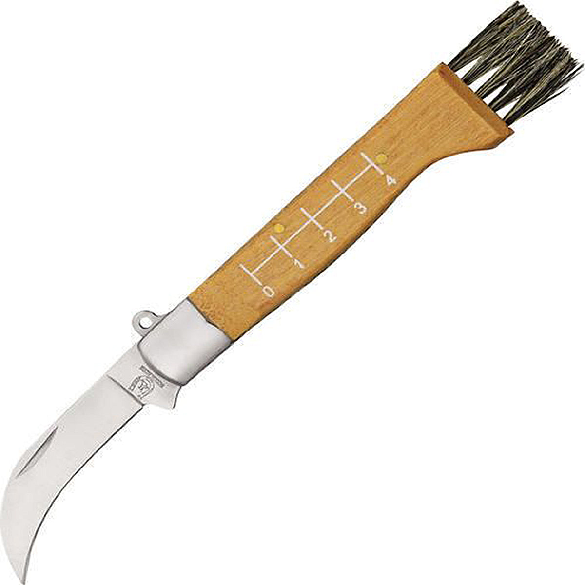 Mushroom Hunting Knife Rough Rider