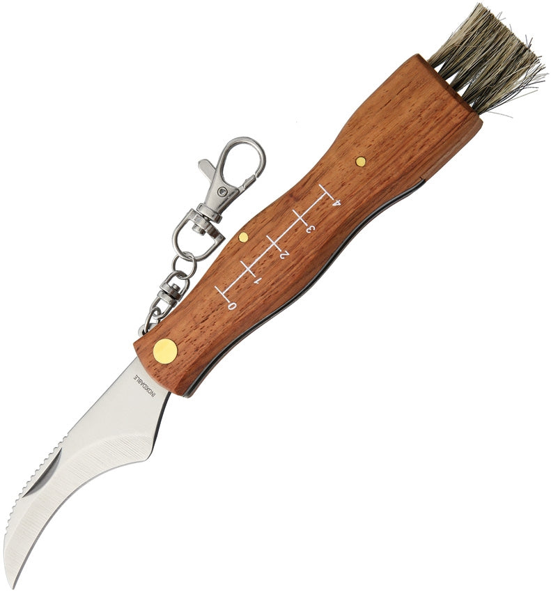 Mushroom Hunting Knife German