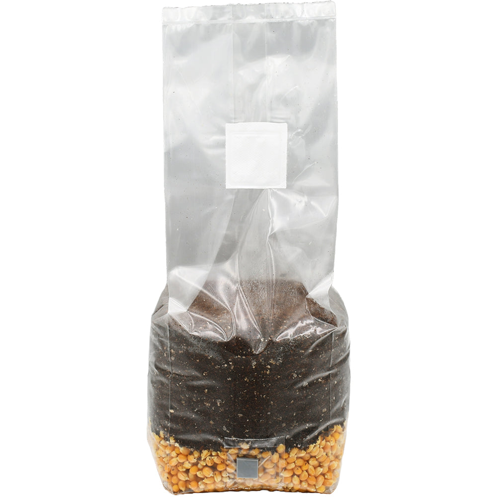 Golden Grain All in One Mushroom Grow Bag
