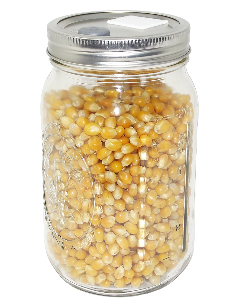 Popcorn Mushroom Jar – Sterilized Substrate 1 Quart