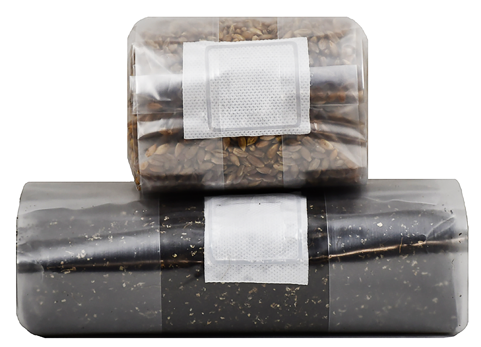 Mushroom Grow Kit (Quick Kit)