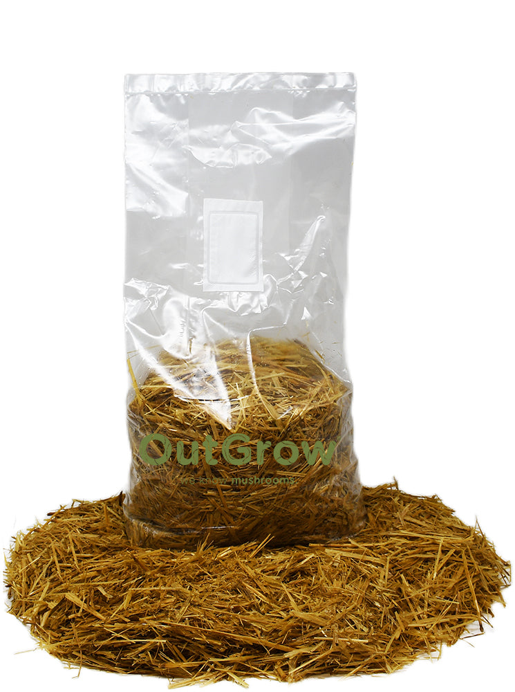 Bag of Pasteurized Straw Mushroom Substrate
