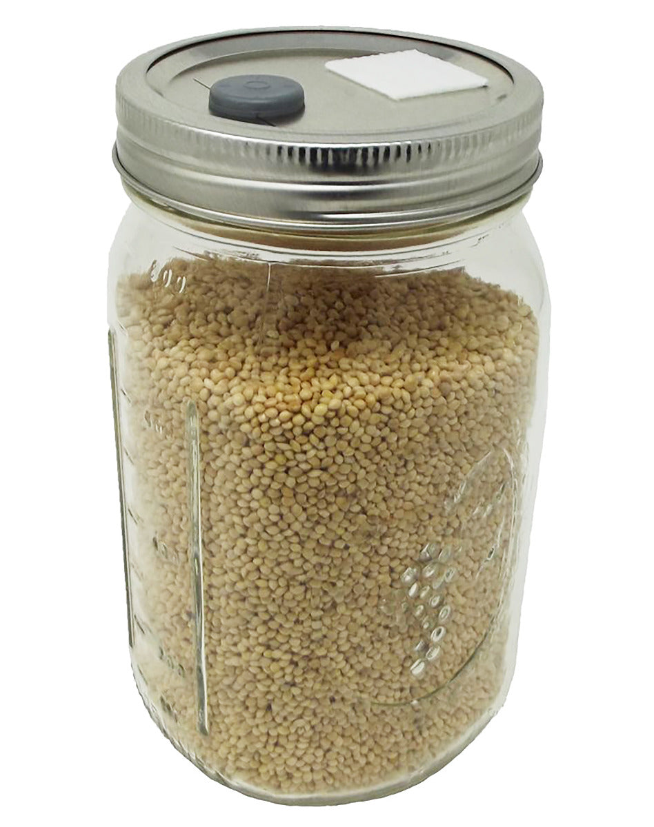 White Millet Mushroom Jar – Sterilized 1 Quart