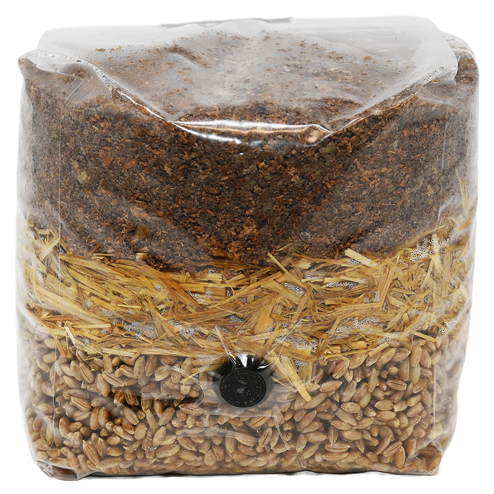 Wood Based All in One Mushroom Grow Bag