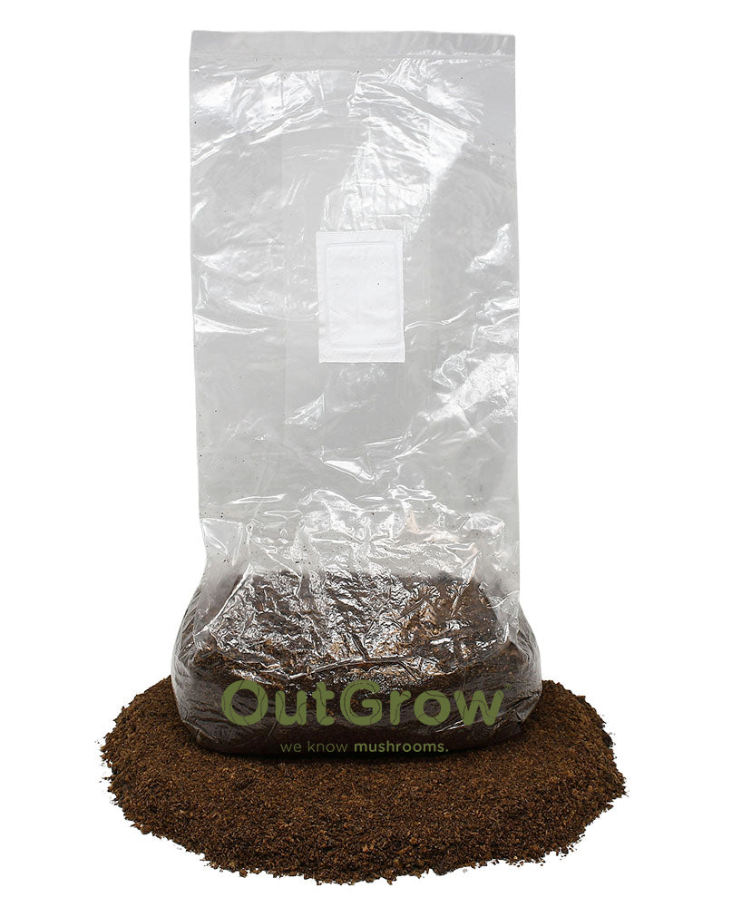 5lb Bag of Sterilized Hardwood Mushroom Substrate on Substrate Pile