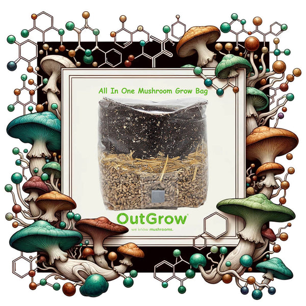 How to Use the All-In-One Mushroom Grow Bag: The Ultimate Mushroom Grow Kit!