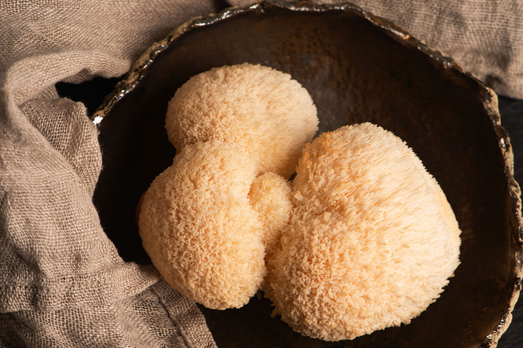 fresh lions mane mushrooms