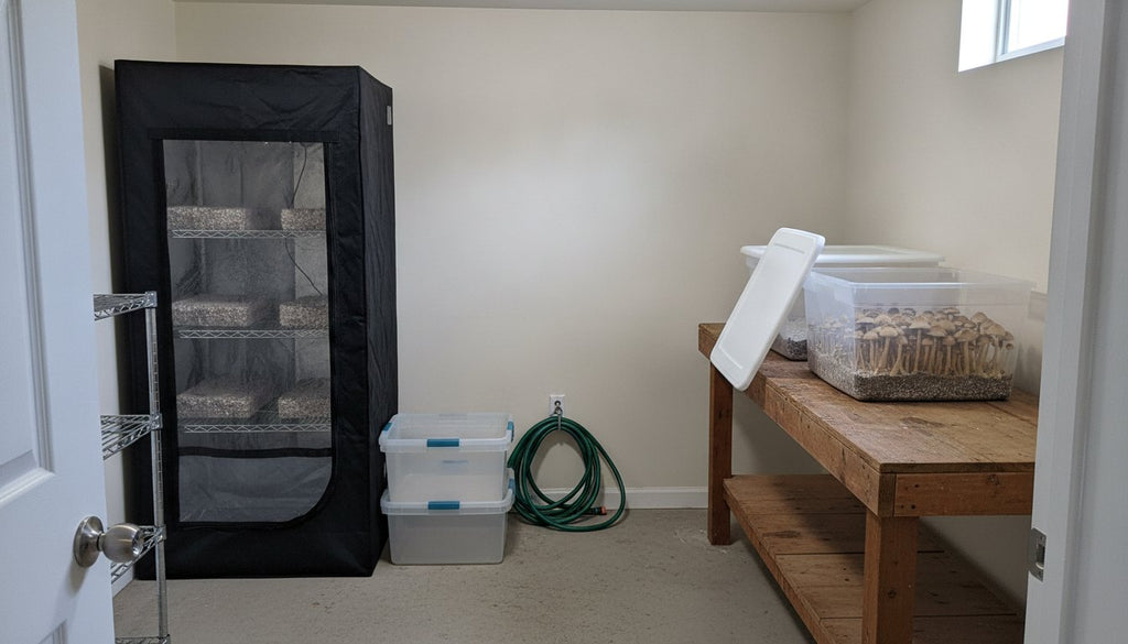 Martha Grow Tent vs Monotub: Which Should You Use?