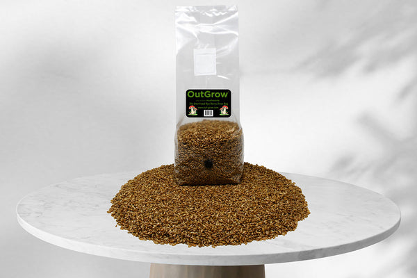 How to Grow Mushrooms in Grow Bags: Mushroom Growing Made Easy