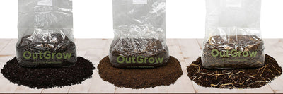 Learn About The Best Mushroom Substrates for Mushroom Cultivation – Out ...