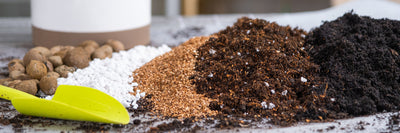 Your Full Guide To Mushroom Substrates – Out Grow