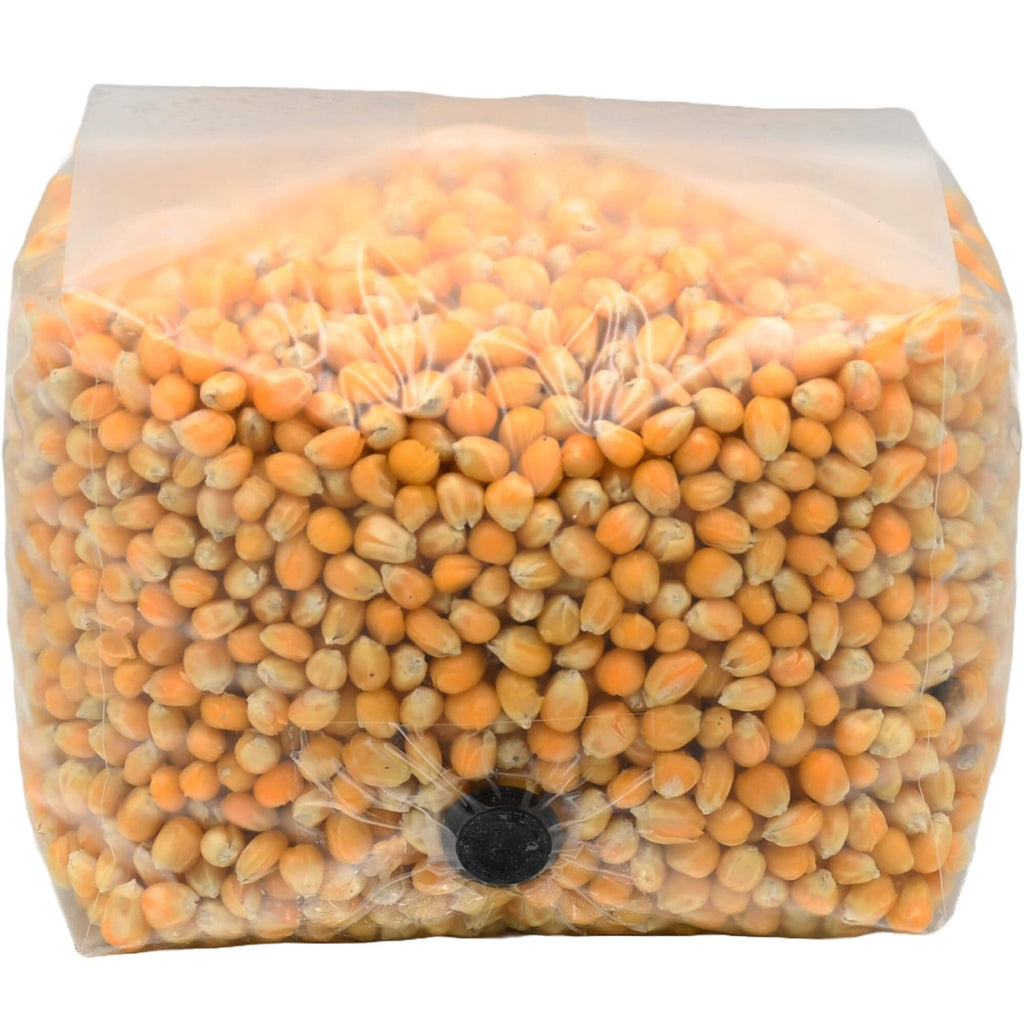 Popcorn Spawn Grain Spawn Bags with Filter Patch and Injection Port – Out Grow