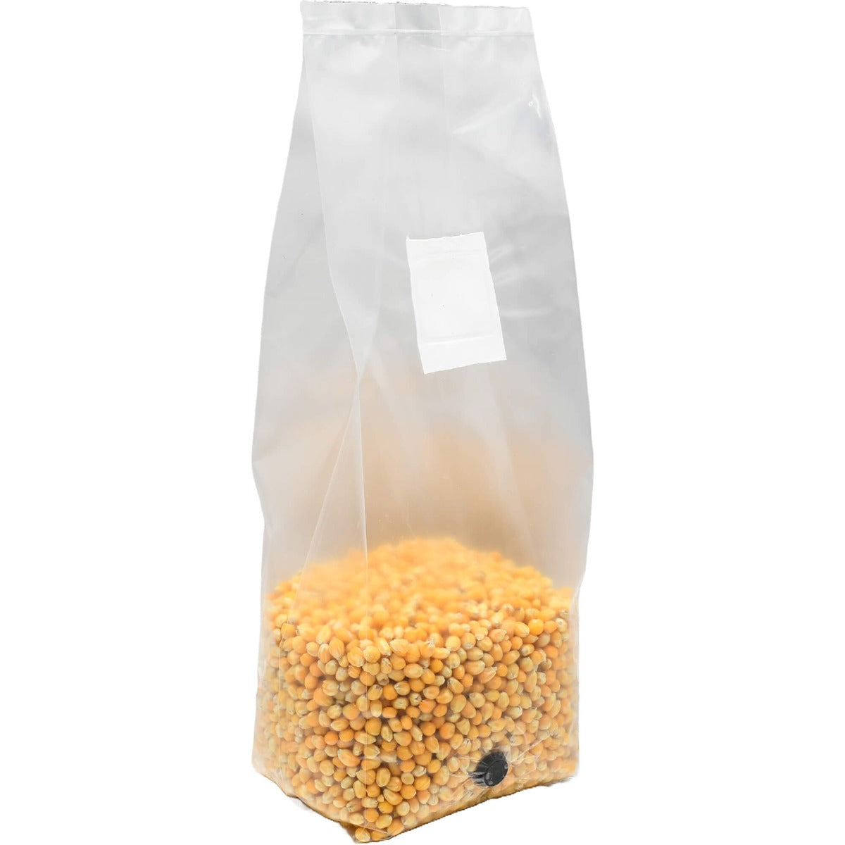 Popcorn Spawn Sterilized Popcorn Grain Spawn Bag | The Best Grain Spawn – Out Grow
