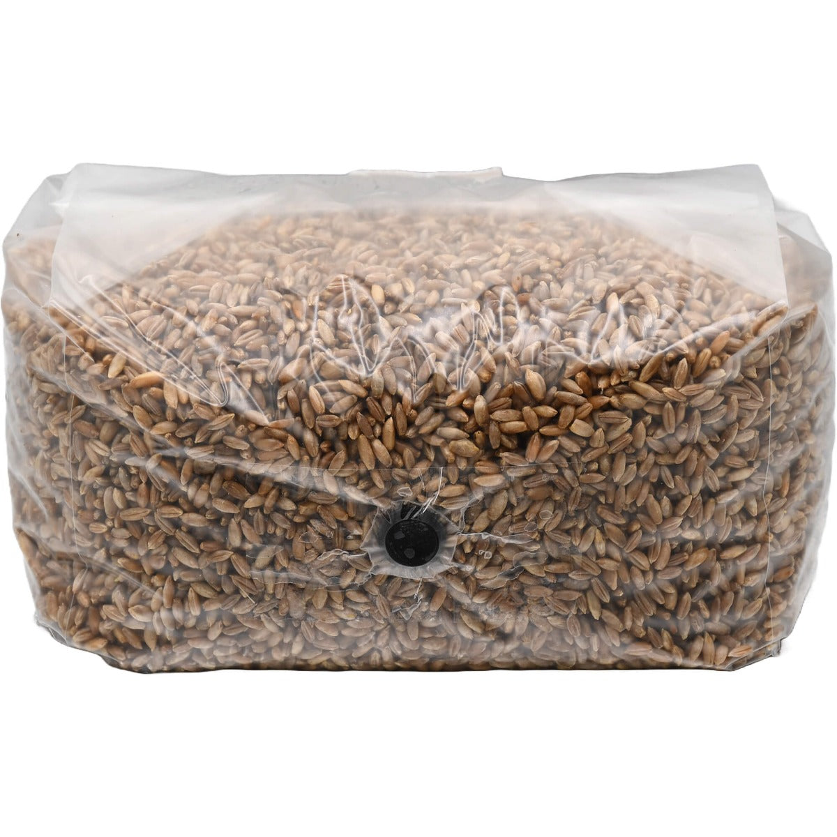 Sterilized Rye Berry Grain Spawn Bag – 5lb – Out Grow