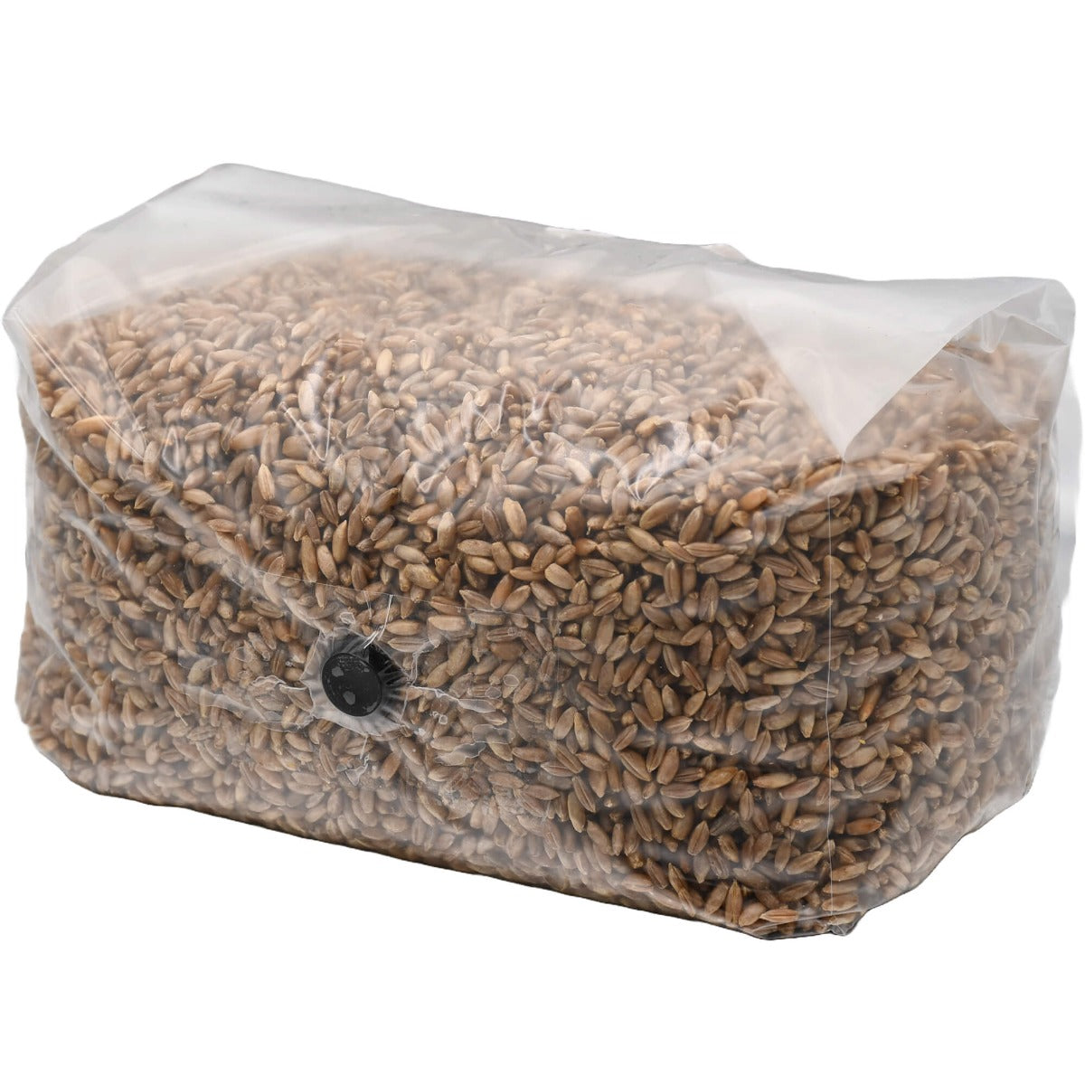 A Rye Container Sterilized Rye Berry Grain Spawn Bag – 5lb – Out Grow