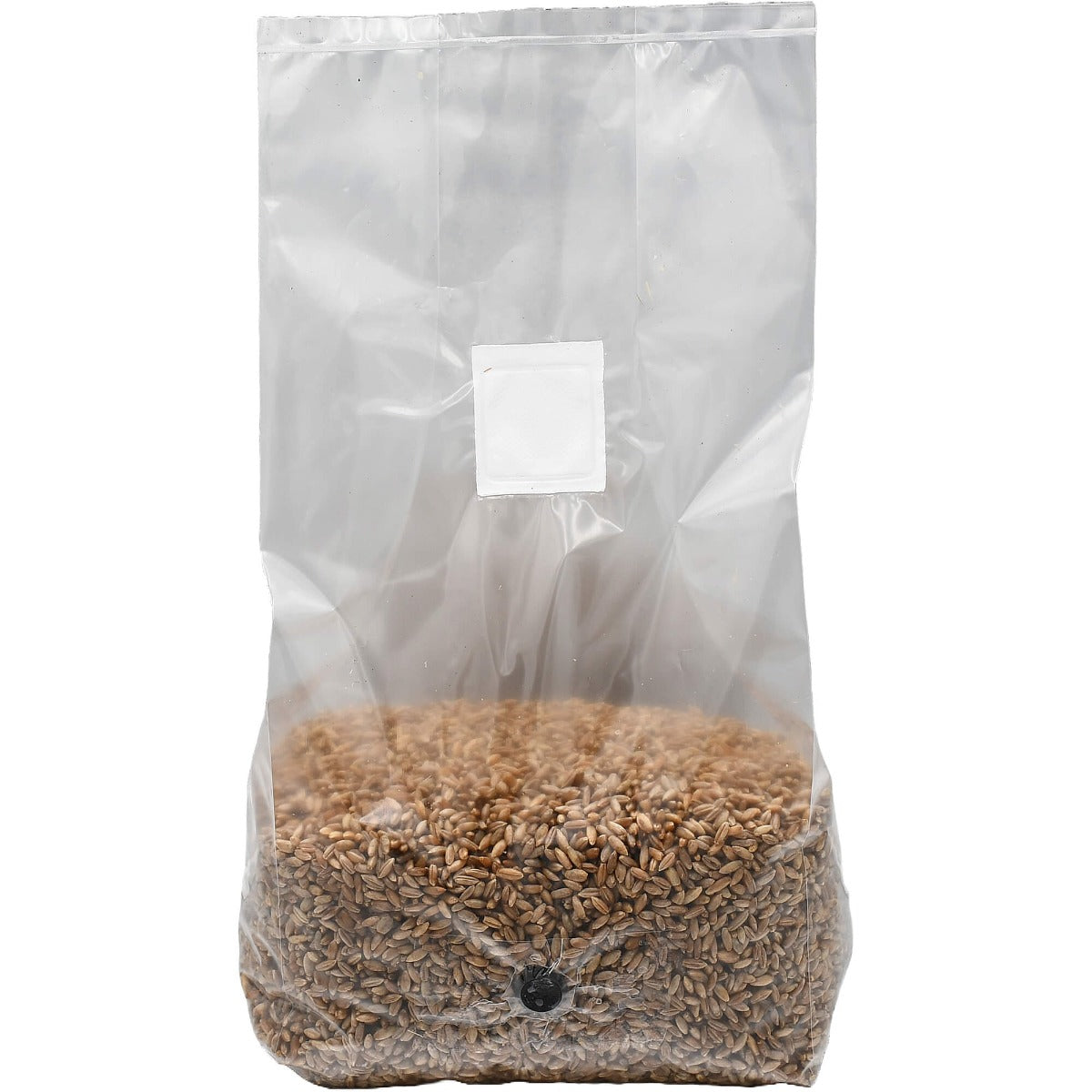 A Rye Container Sterilized Rye Berry Grain Spawn Bag – 5lb – Out Grow