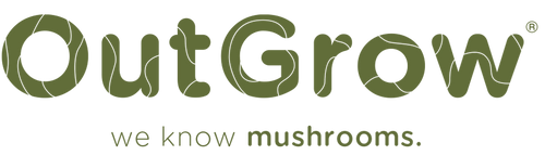 Step-by-Step Breakdown of Mushroom Growth: From Spores to Harvest – Out ...