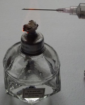 How to Inoculate our Sterilized Spawn Bags With Out Injection Ports ...