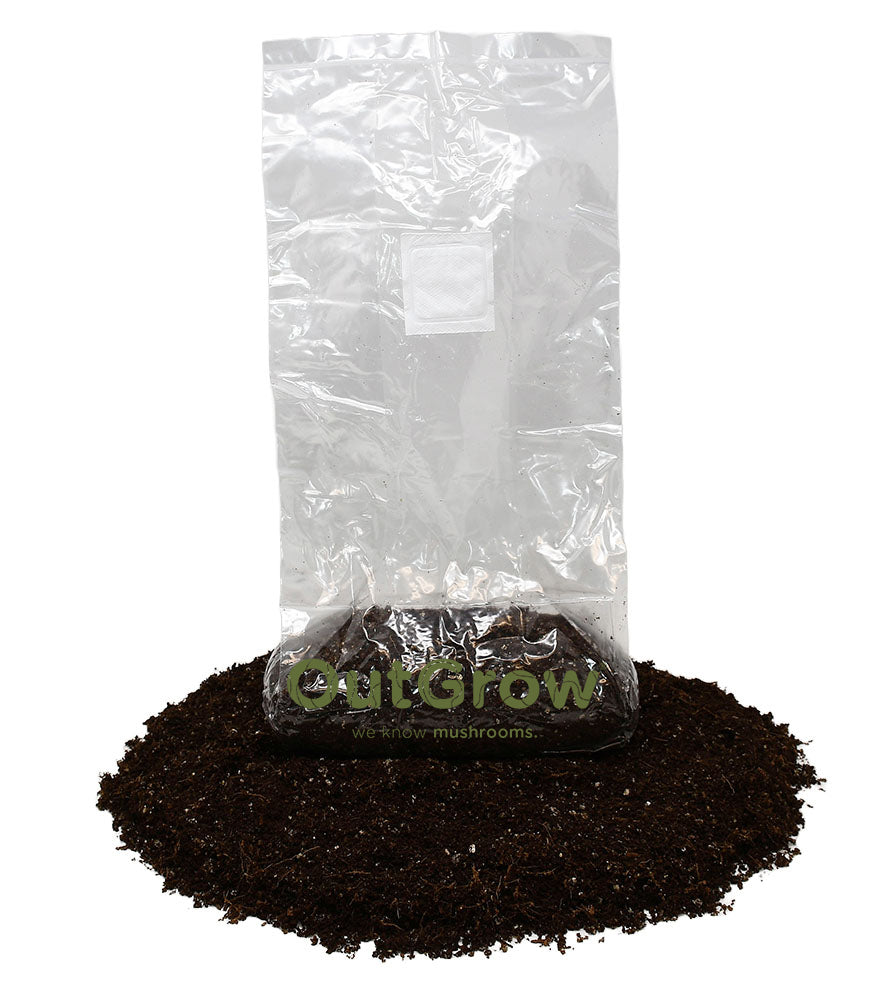 Pasteurized 1lb Manure Substrate Grow Bags – Out Grow