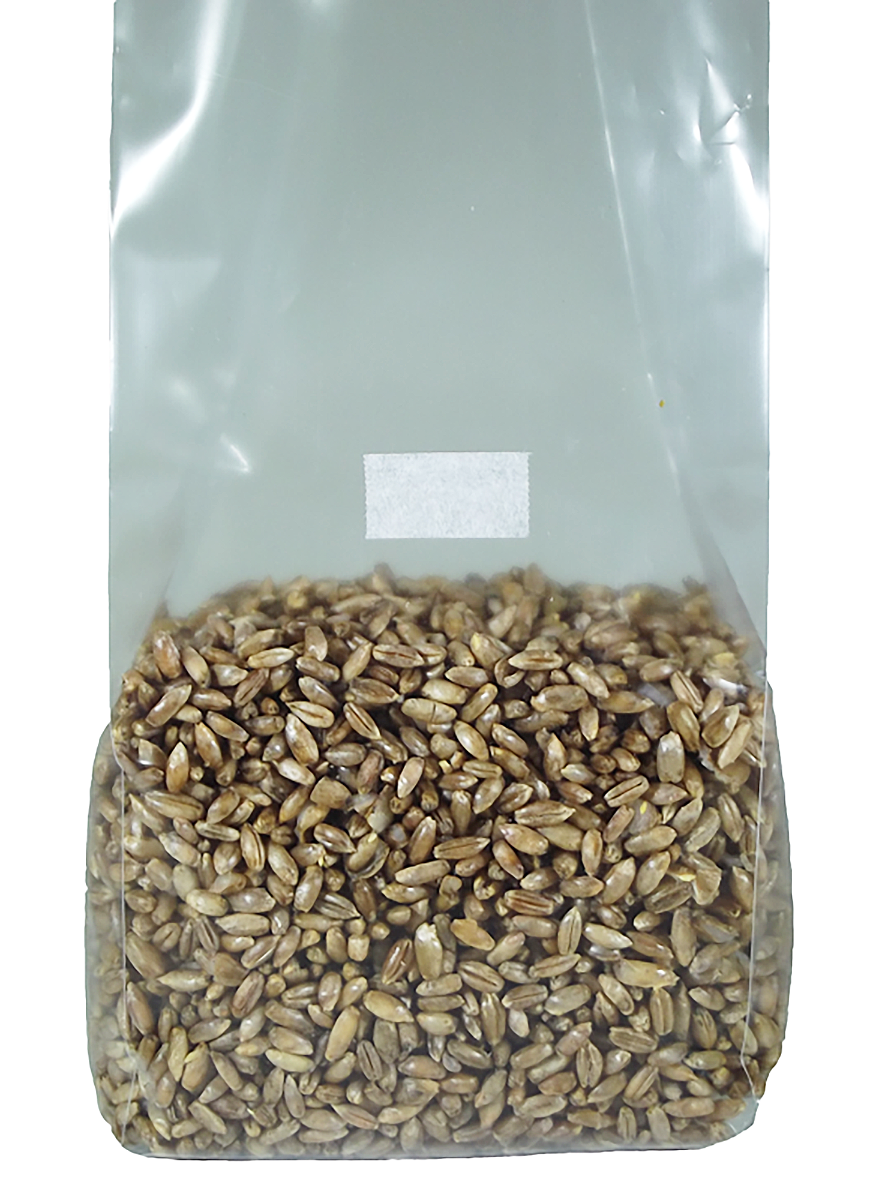 Sterilized Rye Grain Spawn Bag – 1lb (No Injection Port)