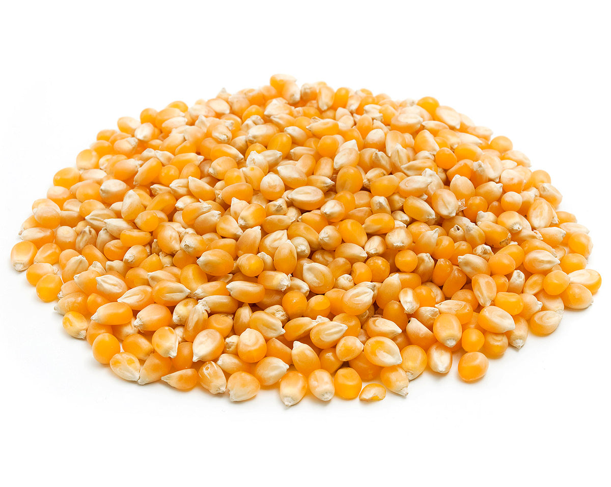 Premium Yellow Popcorn Grain Substrate — 10lb Bag | Out-Grow – Out Grow