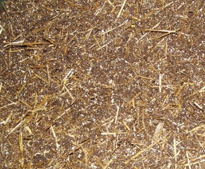 50/50 Horse Manure and Straw Mix Mushroom Substrate