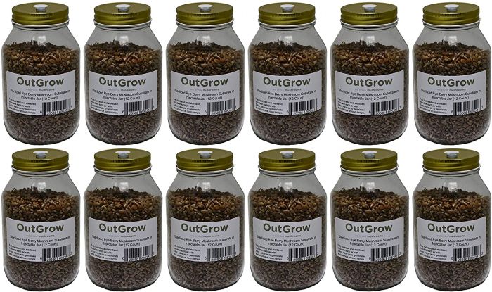 12 Quart Jars of Sterilized Rye Berries Mushroom Spawn