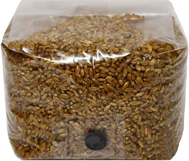 Wholesale Rye Berry Mushroom Substrate with Self Healing Injection Port 3 lb Bag