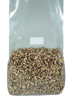 Sterilized Rye Bag with Filter Patch