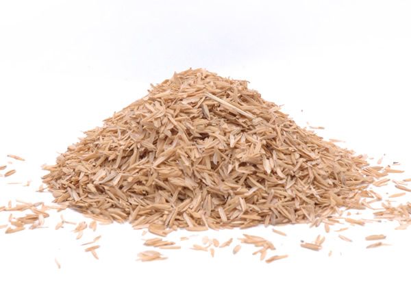Rice Seed Hulls