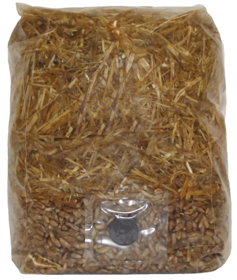 Wheat Straw Based All in One Mushroom Grow Bag ™