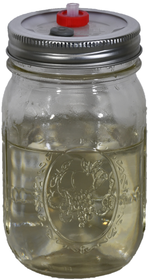 Liquid Culture Jar