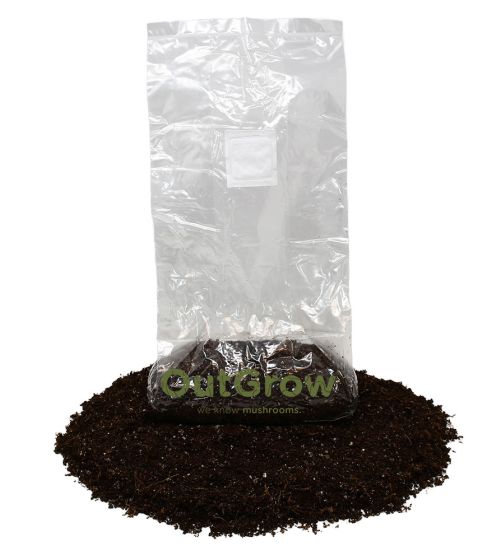 Pasteurized Manure-Based Mushroom Substrate Bag - 1lb Mushroom Grow Bag With Filter Patch