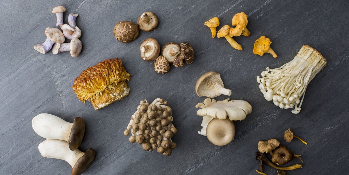 The Most Popular Types of Edible Mushrooms