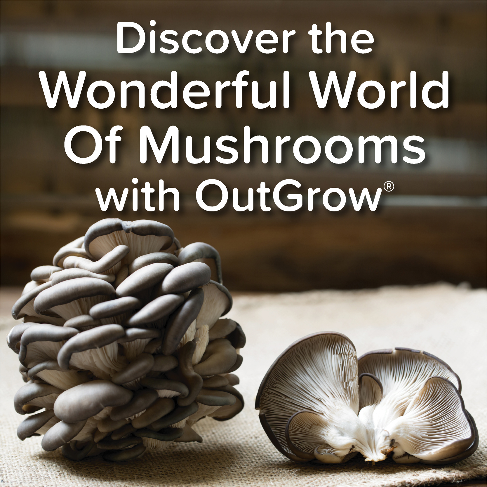mobile mushroom growing supplies